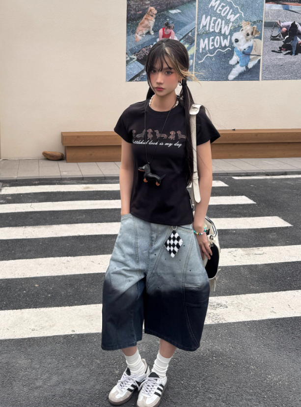 Vintage Loose-fitting Gradient Color Design Street-style Casual Cropped Pants TP3237