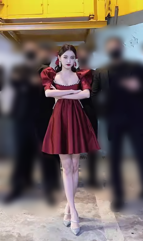 Vintage Burgundy A-Line Homecoming Dress Beaded Short Puff Sleeves Party Dress A-Line Cocktail Dress T4635