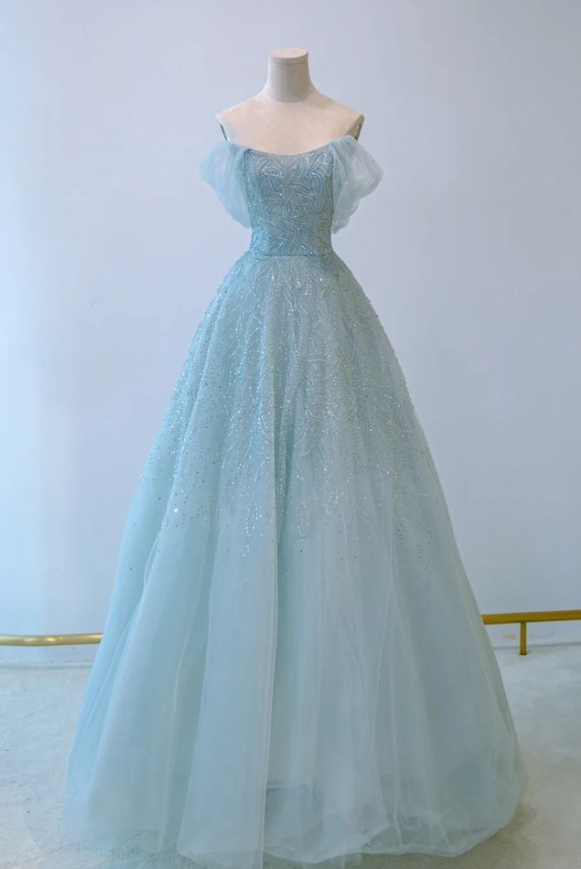 Blue A-line Strapless Embroidered Tulle Long Evening Dresses TP1666