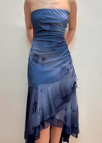 Blue A-Line Strapless Lace Applique Ball Gown TP1826