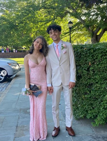 Elegant Pink Mermaid Spaghetti Strap V Neck Ball Gown Evening Dress TP1945