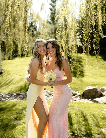 Elegant Pink Mermaid Spaghetti Strap V Neck Ball Gown Evening Dress TP1945