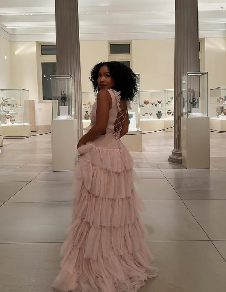 Sexy Pink A-line Low Neck Sleeveless Tulle Long Ball Gown Evening Dress TP2218