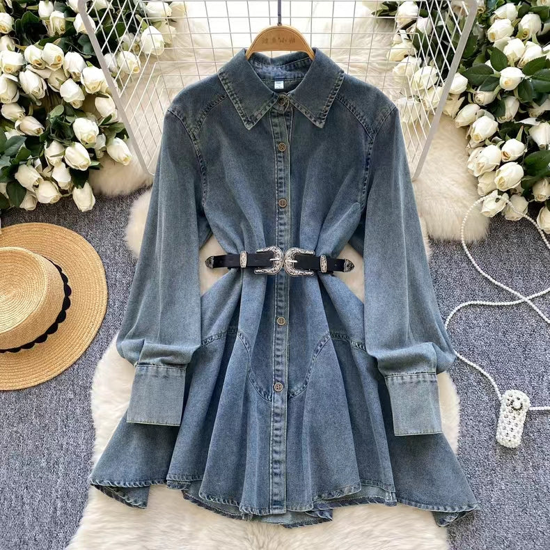Vintage Couture Loose Waisted Denim Dress TP2833