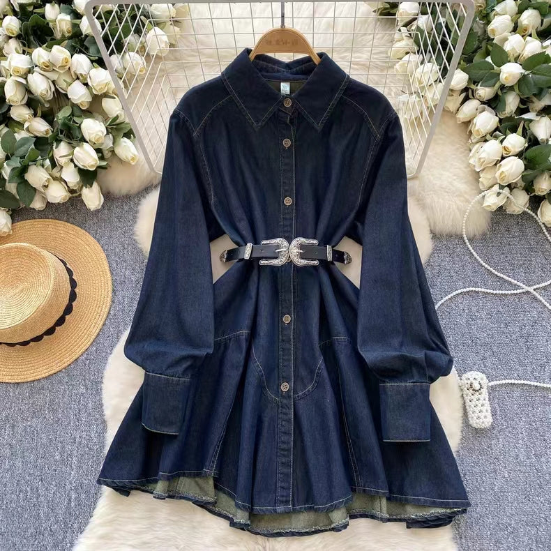 Vintage Couture Loose Waisted Denim Dress TP2833