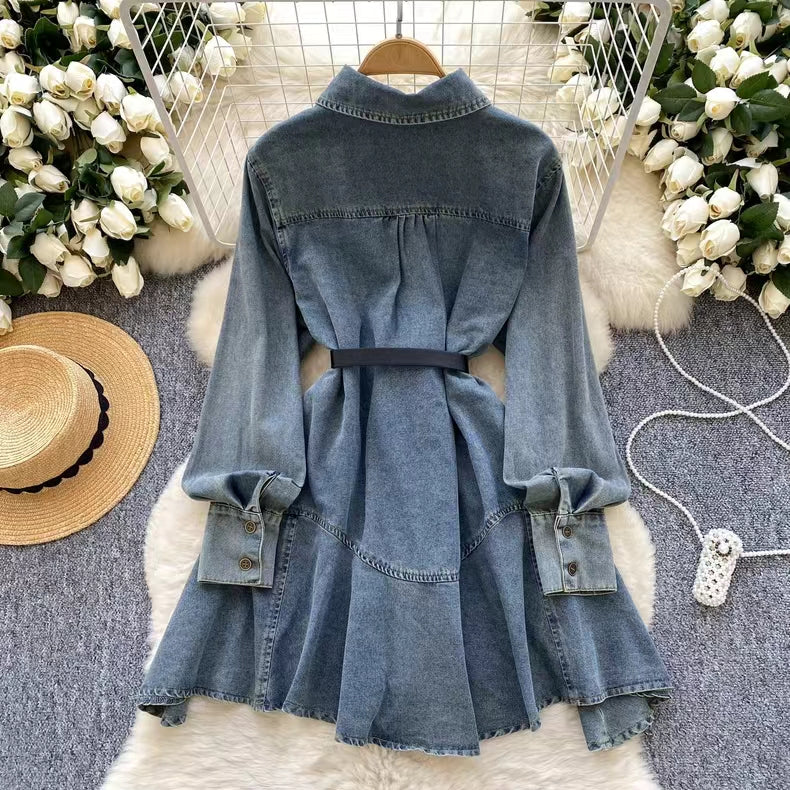 Vintage Couture Loose Waisted Denim Dress TP2833