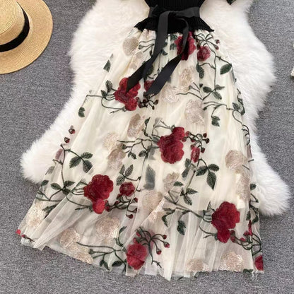 Vintage Floral Embroidery Design Mesh Women Dress TP2843