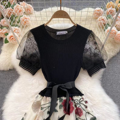 Vintage Floral Embroidery Design Mesh Women Dress TP2843