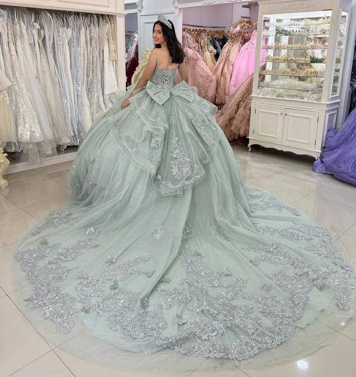 Elegant Sage Green Sweetheart Sequins Appliqued Detachable Strap Quinceanera Ball Gown TP5247