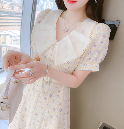 New Simple Short Sleeves Floral Design A-Line Dress TP3040