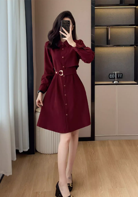 Simple Fashion Red Belt Elegant Design Women Long-sleeved Dress TP3054