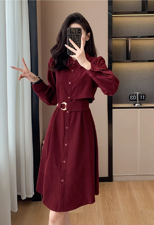 Simple Fashion Red Belt Elegant Design Women Long-sleeved Dress TP3054