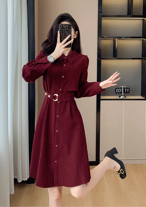 Simple Fashion Red Belt Elegant Design Women Long-sleeved Dress TP3054