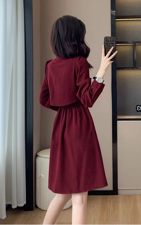 Simple Fashion Red Belt Elegant Design Women Long-sleeved Dress TP3054