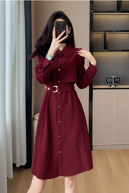 Simple Fashion Red Belt Elegant Design Women Long-sleeved Dress TP3054