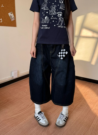 Simple Loose-fitting Letter Embroidery Design Street-style Casual Cropped Pants TP3235
