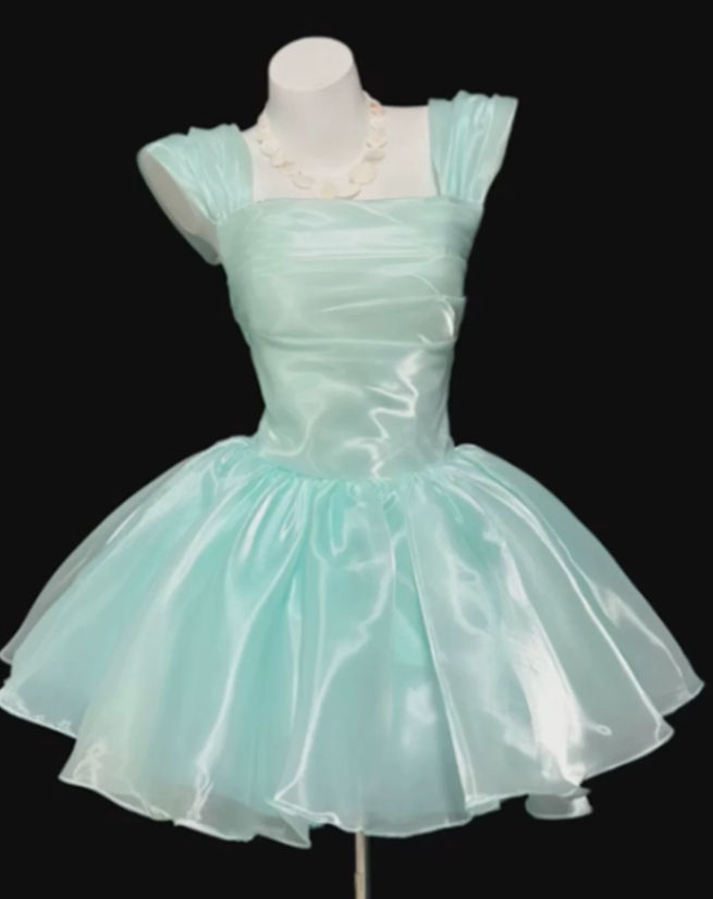 Vintage Mint Green Shiny Organza Square Neck Cap Sleeve Ruched Bodice A-Line Homecoming Dress TP6060