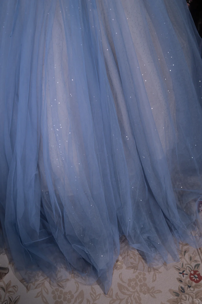 Gorgeous Dusty Blue Sparkly Tulle Sweetheart Neck 3D Floral Appliques Ball Gown TP5794
