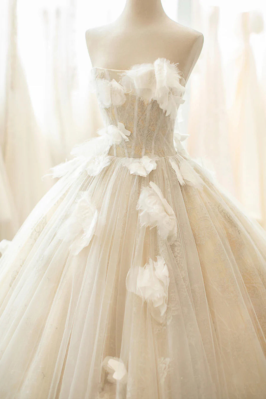 Champagne Tulle Lace Long Formal Dress, A-Line Evening Gown TP578